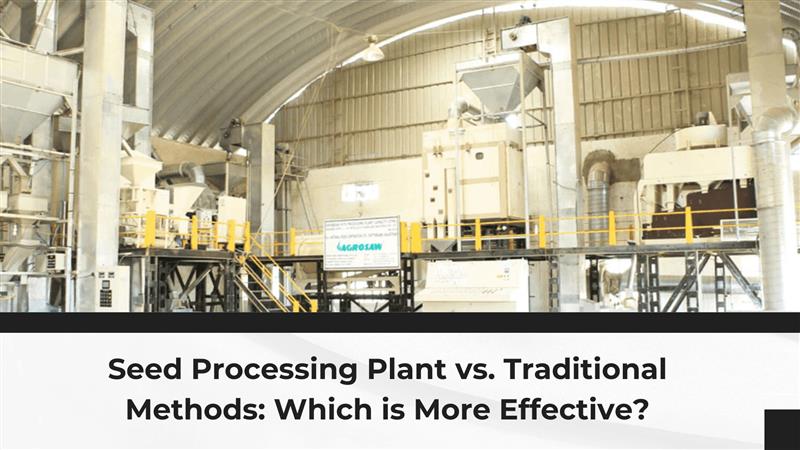 Seed Processing Plant vs. Traditional Methods: Which is More Effective?